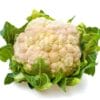 Cauliflower 白菜花