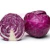 China Purple Cabbage 中国紫包菜