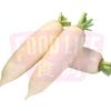 China Radish 中国白萝卜