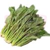 HK Chinese Spinach 中国菠菜