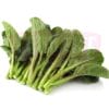 HK Chye Xin 香港菜心