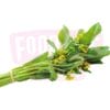 Chye Xin Flower 菜心花