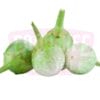 Thai Pearl Brinjal 泰国小白茄