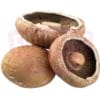 Portobello Mushroom 大饼菇