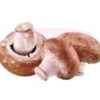 Swiss Mushroom  褐洋菇