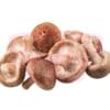 Flower Shitake Mushroom 花菇