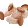 King Oyster Mushroom 杏鲍菇
