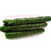 Japanese Cucumber 日本黄瓜