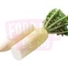 Cameron Radish 金马伦白萝卜
