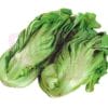 Mustard Vegetable 大芥菜