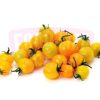 Cherry Tomato Yellow 黄色小番茄