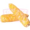 Pearl Corn Yellow 珍珠黄玉米
