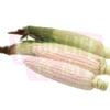 Pearl Corn White 珍珠白玉米