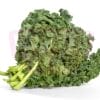 Kale 羽衣甘蓝