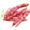 Pearl Bean (Red) 珍珠红豆