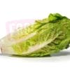 Big Lettuce Romaine 大罗马生菜