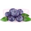 Blueberry 蓝莓