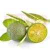Calamansi 酸柑