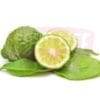 Kaffir Lime 粗皮柠檬