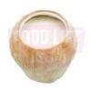 Coconut Pudding 椰子布丁