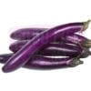 Long Brinjal 红茄