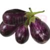 Round Brinjal 小茄子 / 圆茄