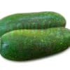 Hairy Gourd 毛瓜