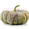 Pumpkin 金瓜