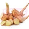 Galangal 南姜