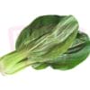 Sio Pek Chye 小白菜