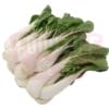 Nine Cabbage 九白
