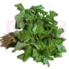 Heng Cai Round 圆苋菜