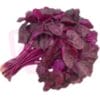 Heng Cai Purple 紫苋菜