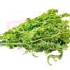 Jungle Fern 峇菇菜