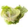 Cameron Lettuce 生菜王