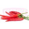 Red Chilli 红辣椒