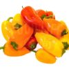 Baby Mini Capsicum 迷你彩色椒