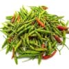 Chilli Padi Kampung 乡村小辣椒