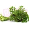 Herb Italian Parsley 欧芹