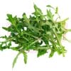 Herb Rocket / Arugula 芝麻菜