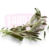 Herb Sage 鼠尾草