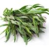 Herb Tarragon 龙蒿叶