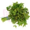 English Parsley 西芫荽
