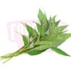 Laksa Leaf 辣沙叶