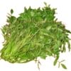 Water Celery 水芹甘榜菜