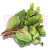 Karol Leaf 印度支