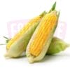 Fresh Corn 甜玉米