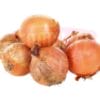 White Onion 白大葱