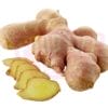 Old Ginger 老姜