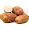Potato US 美国土豆
